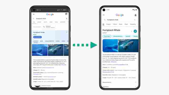 Google Search has a new mobile design — come spot the differences